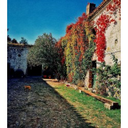 Il Giardino di Iti