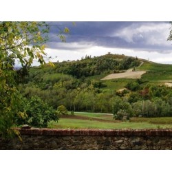Il Vecchio Pero B&B