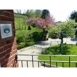Il Vecchio Pero B&B
