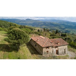 Fattoria di Cintoia