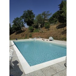 Fattoria di Cintoia