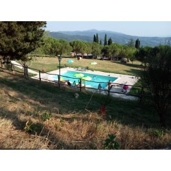 Fattoria di Cintoia