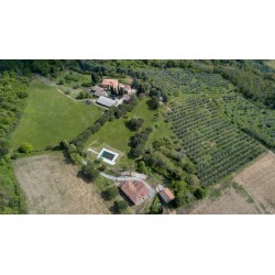 Fattoria di Cintoia
