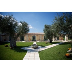 La pace dei sensi presso Masseria Stali