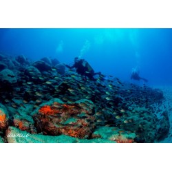 Esperienza subacquea TRY SCUBA con Megale Hellas