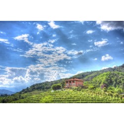 Podere ai Valloni