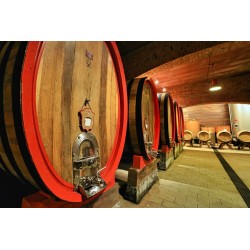 Visita e degustazione al Podere ai Valloni