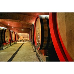 Un pomeriggio in vigna al Podere ai Valloni