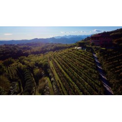 Un pomeriggio in vigna al Podere ai Valloni