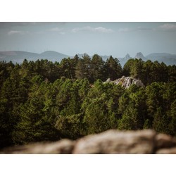 Vallicciola Nature Hotel