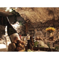 Il Calice & La Stella: Vini pregiati e sapori da scoprire