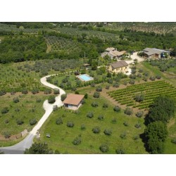 Fattoria Del Quondam