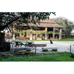 Agriturismo Cascina Selva
