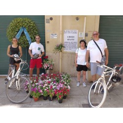 Bike tour a Palermo fra Memoria e impegno