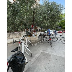 Bike tour a Palermo fra Memoria e impegno