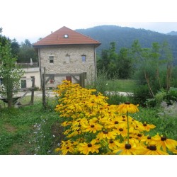 Fattoria Agriturismo Ortoalpino