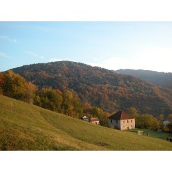 Fattoria Agriturismo Ortoalpino