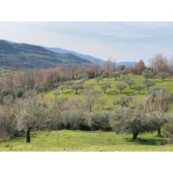 Colle Paradiso