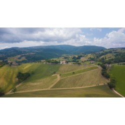 Degustazione di vini che parte dal campo!