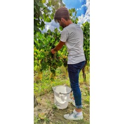Degustazione di vini che parte dal campo!