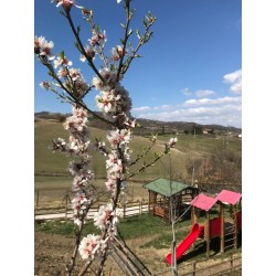 Agriturismo SanLorenzo