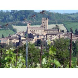 Casa Cardinali B&B