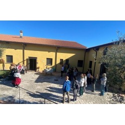 Alla scoperta del mondo dell'olio presso frantoio Del Sero