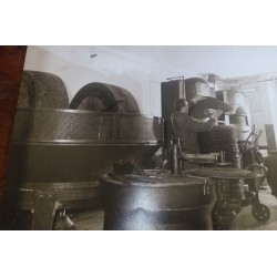 Alla scoperta del mondo dell'olio presso frantoio Del Sero