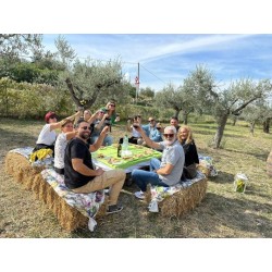 Alla scoperta del mondo dell'olio presso frantoio Del Sero