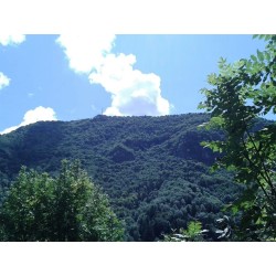 Agriturismo Cascina Gervasoni