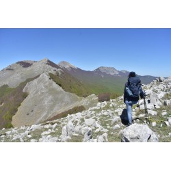Escursione guidata nel Parco Nazionale del Pollino