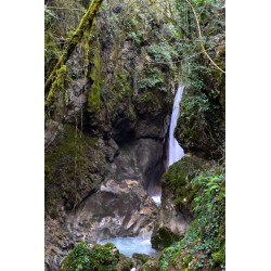 Escursione guidata nel Parco Nazionale del Pollino