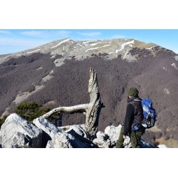 Escursione guidata nel Parco Nazionale del Pollino