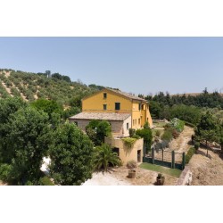Villa Scuderi Country House B&B