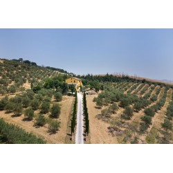 Villa Scuderi Country House B&B