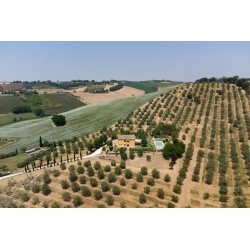 Villa Scuderi Country House B&B