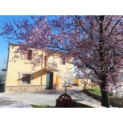 La Vecchia Fontana