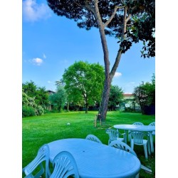 Bed&Green
