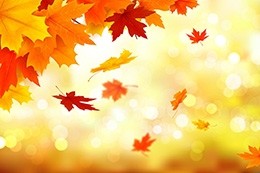 Foliage e paesaggi autunnali mozzafiato in tutta Italia