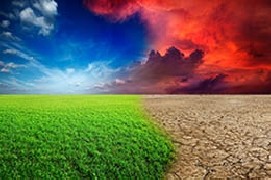 Cambiamento climatico, come fare la differenza?