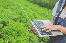 L’agricoltura sostenibile è innovativa, rinnovabile e rispettosa dell’ambiente