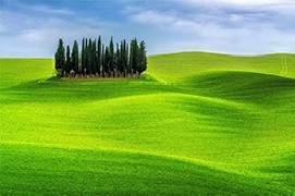 Toscana, una meta perfetta (e vicina) per l'estate 2020!
