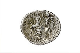 Cultura, tradizioni e natura: ecco le migliori esperienze!