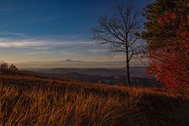 Piemonte: terra di vini, monti e meraviglie straordinarie