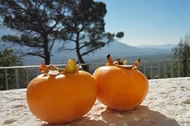 Relax e natura: tante mete green da scoprire in tutta Italia