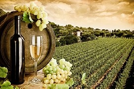 Turismo enogastronomico, successo strepitoso in Italia!