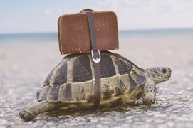 Al passo con la natura: viaggiare lento