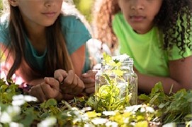 Educazione ambientale: un passo verso un futuro più sostenibile