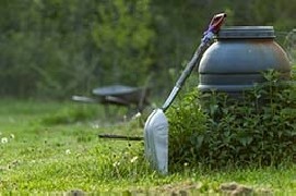 Food Forest, un sistema in continuo cambiamento