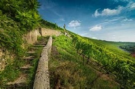 Le Langhe: un territorio da scoprire con lentezza